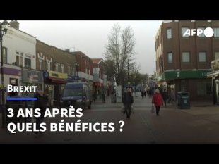 Vidéo - Royaume-Uni : les conséquences économiques de la sortie du marché unique - p. 113