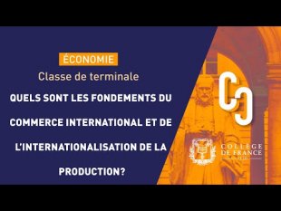 Vidéo - Dotations factorielles et technologiques : échanges commerciaux et spécialisation internationale - p. 45